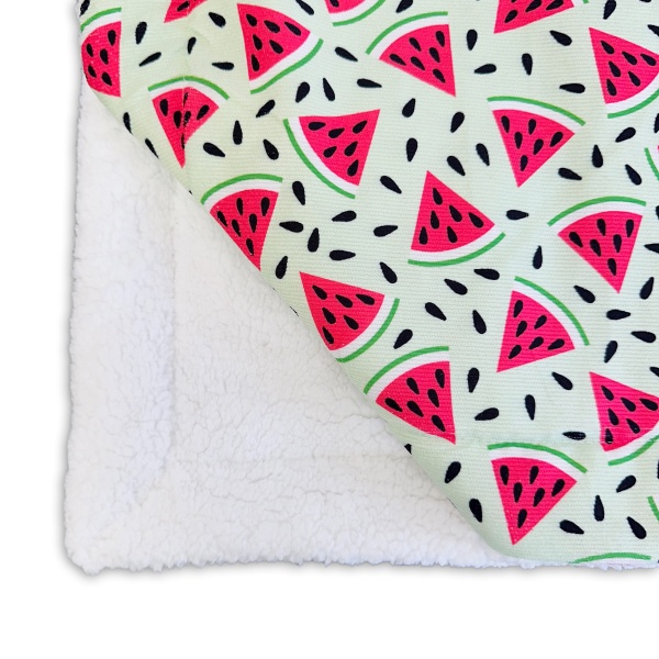 Melon-Tastic Corduroy Luxury Dog Blanket - RichPaw